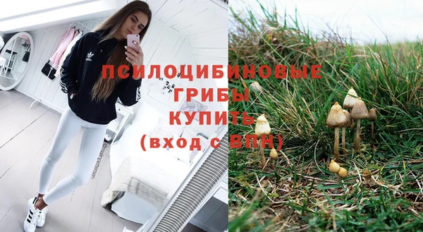 ALPHA-PVP Белокуриха