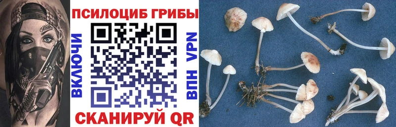 Псилоцибиновые грибы GOLDEN TEACHER  сколько стоит  Светлогорск 